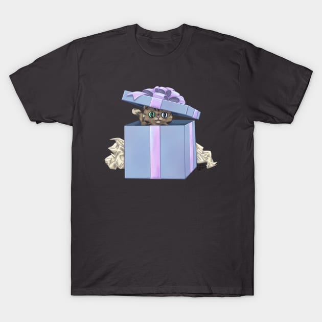 Cat in a Box T-Shirt by SarahWrightArt